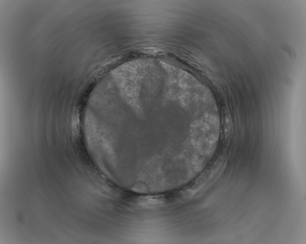 X0000112900320200910021440