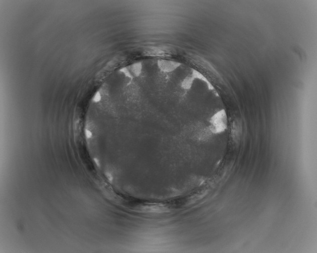X0000112900322200910021440