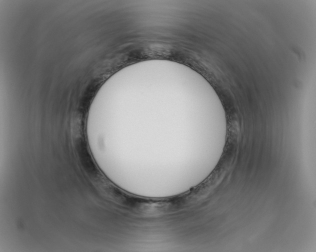 X0000112900323200910021440