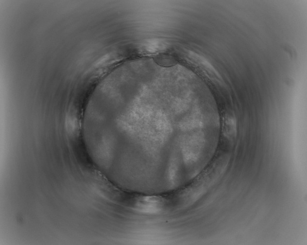 X0000112900324200910021440