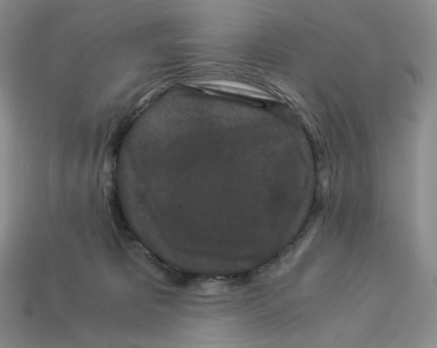 X0000112900325200910021440
