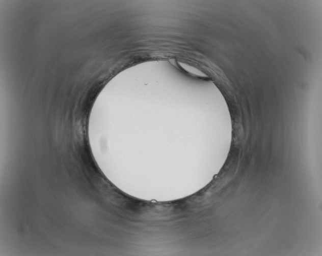 X0000112900329200910021440