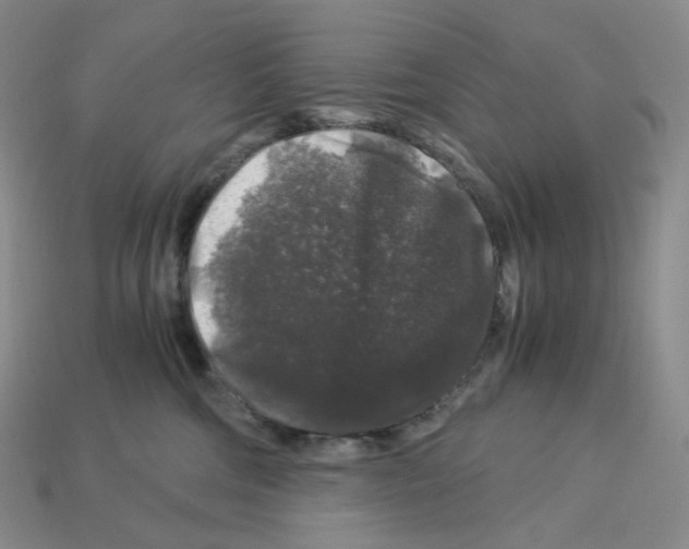 X0000112900330200910021440