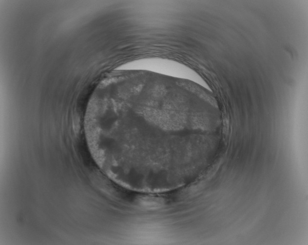 X0000112900331200910021440