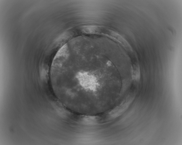 X0000112900332200910021440