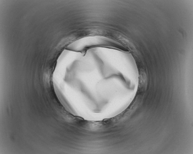 X0000112900333200910021439
