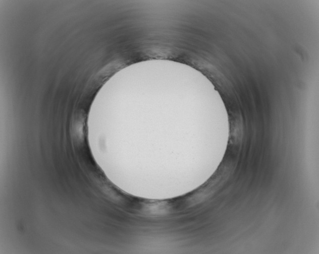 X0000112900334200910021439