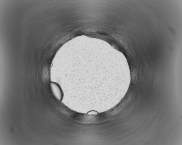 X0000112900335200910021439