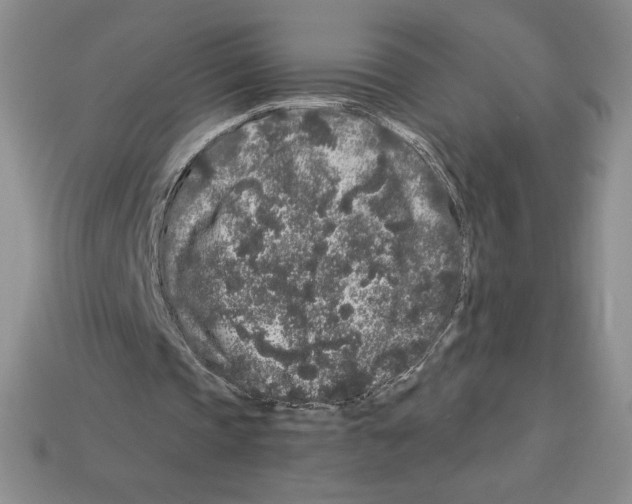 X0000112900337200910021439