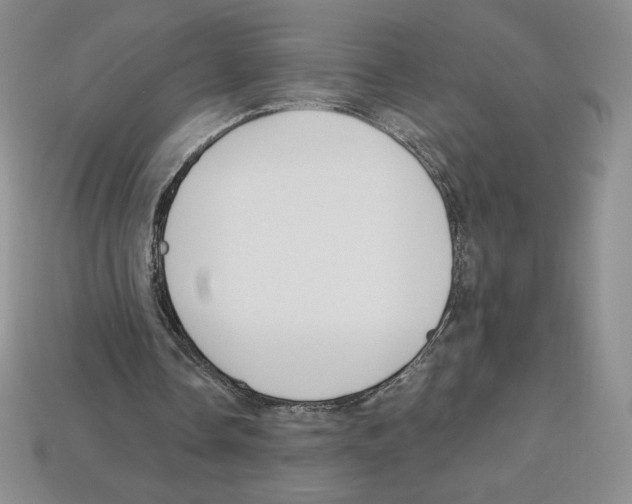 X0000112900338200910021439