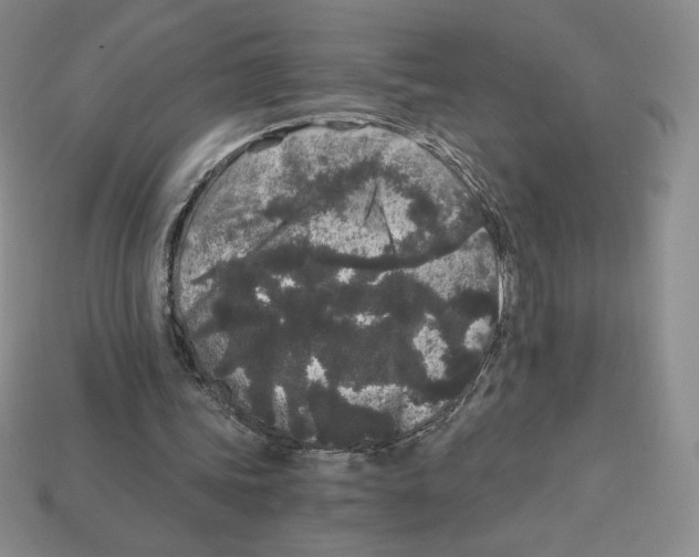 X0000112900339200910021439