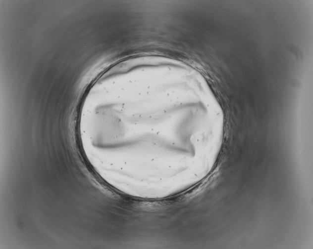 X0000112900341200910021439