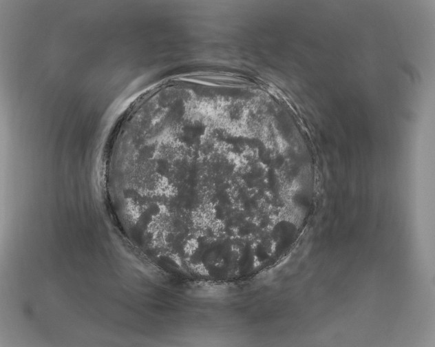 X0000112900343200910021439