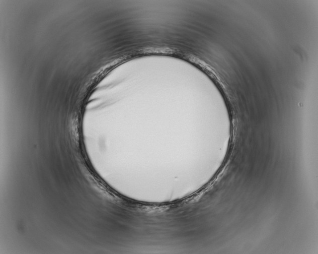 X0000112900345200910021439