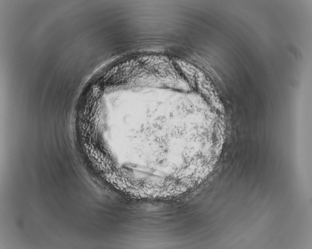 X0000112900346200910021439
