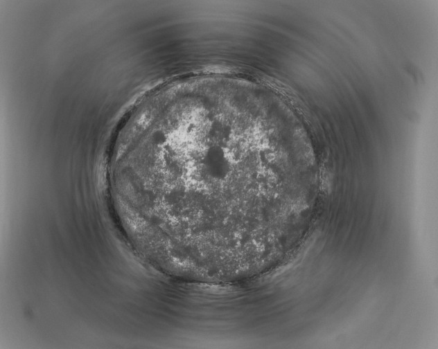 X0000112900347200910021439