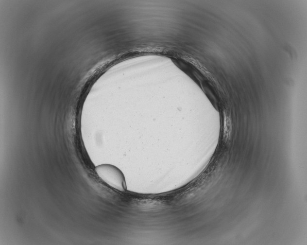 X0000112900348200910021439