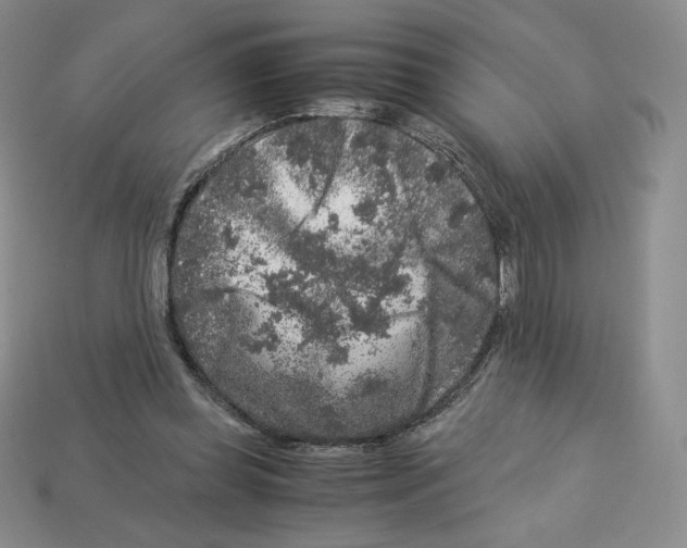X0000112900349200910021439