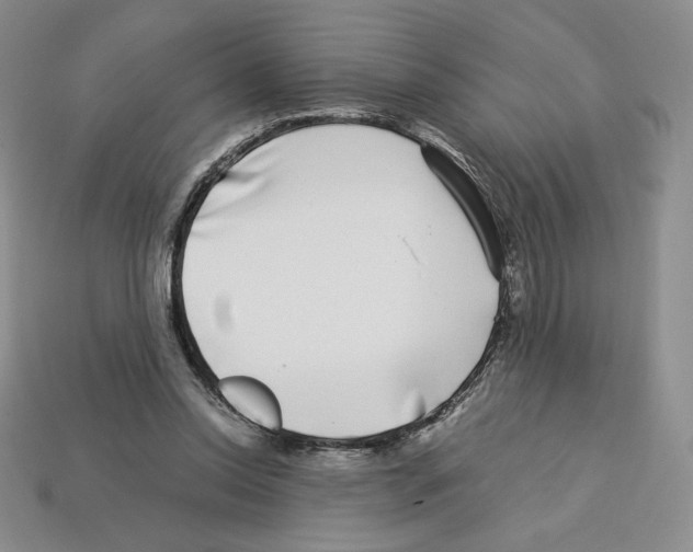 X0000112900350200910021439