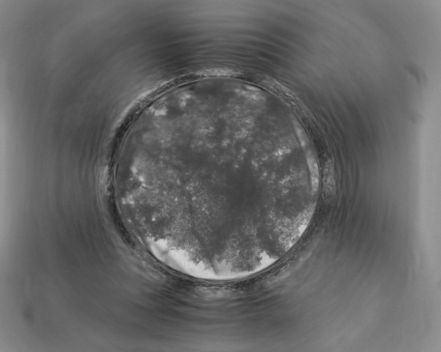 X0000112900351200910021439