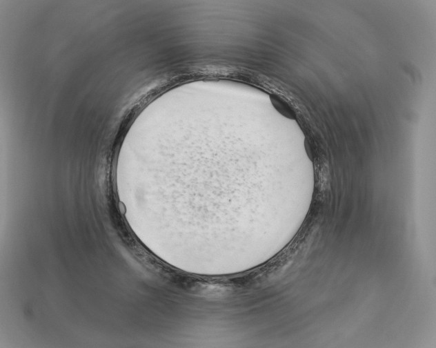 X0000112900352200910021439