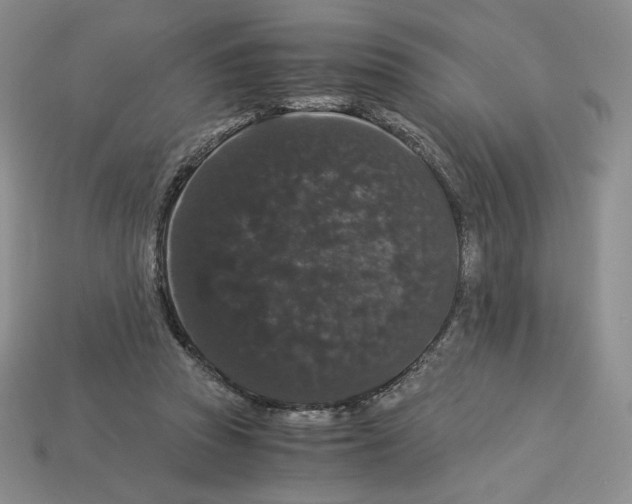 X0000112900353200910021439