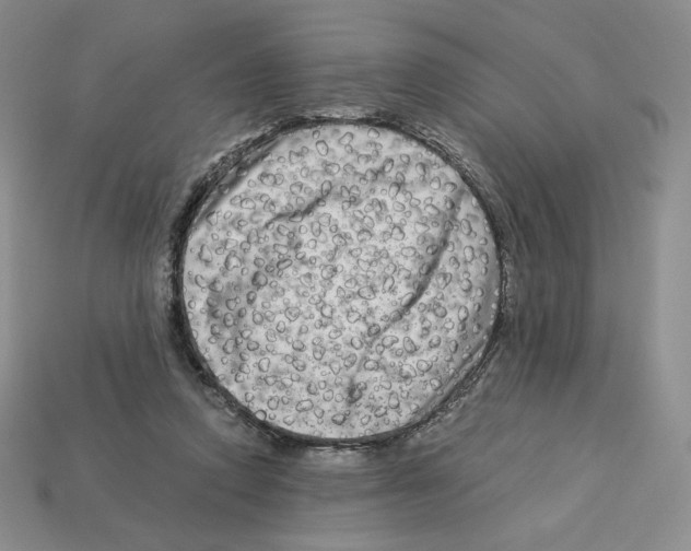 X0000112900354200910021439