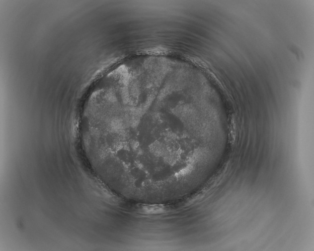 X0000112900355200910021439