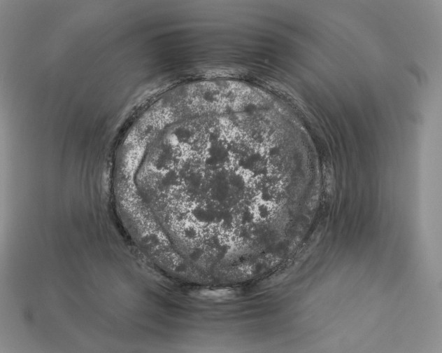 X0000112900357200910021439