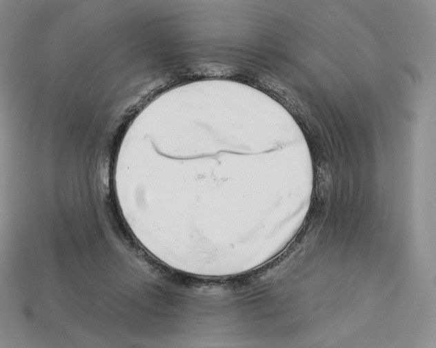 X0000112900358200910021439