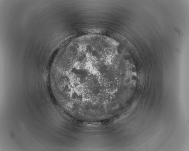 X0000112900359200910021439