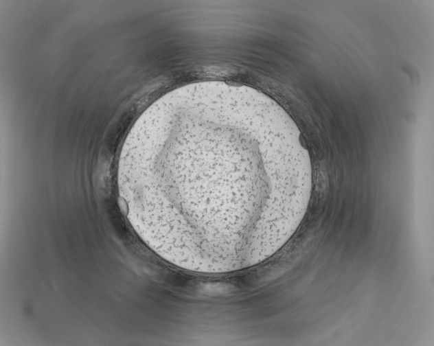 X0000112900360200910021439
