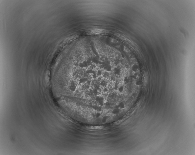 X0000112900361200910021439