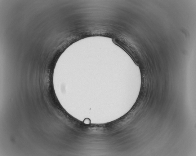 X0000112900362200910021439
