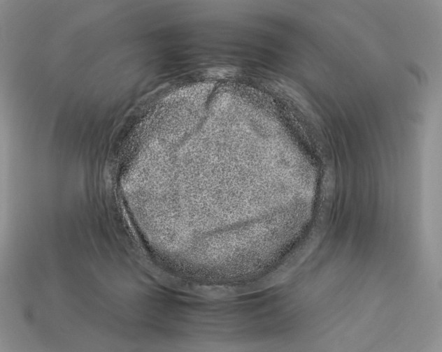 X0000112900363200910021439