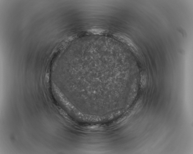 X0000112900365200910021439