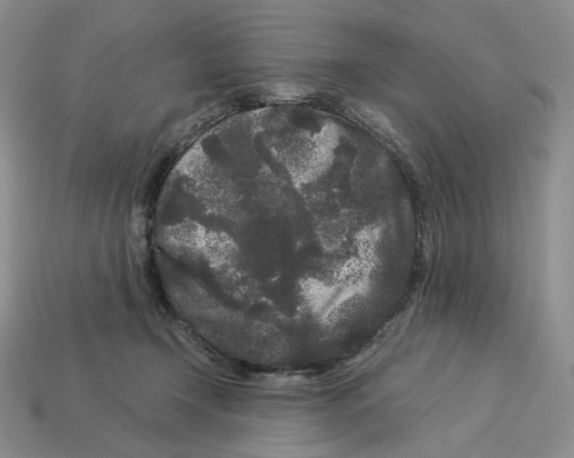 X0000112900366200910021439