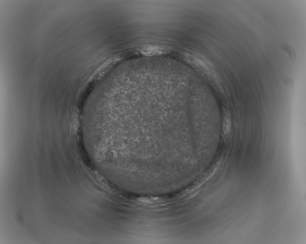 X0000112900367200910021439