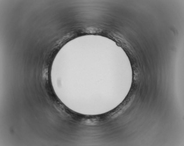 X0000112900368200910021439