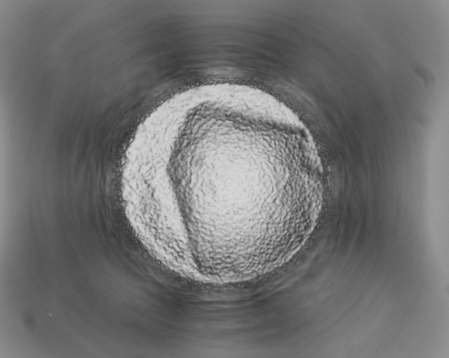 X0000112900369200910021439