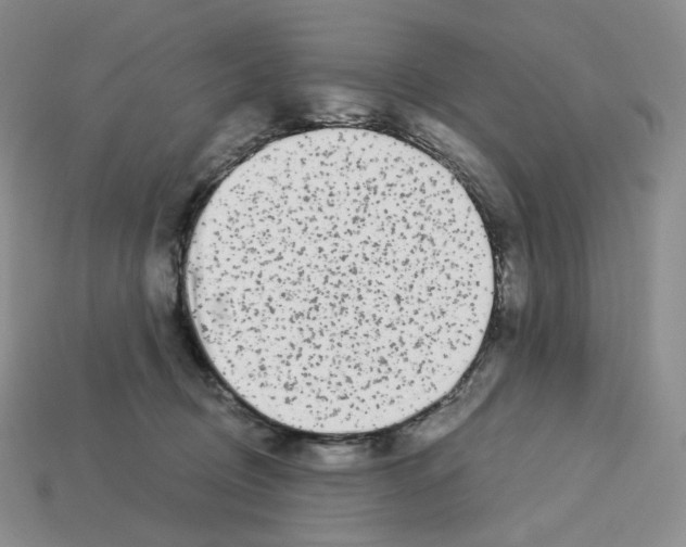X0000112900370200910021439