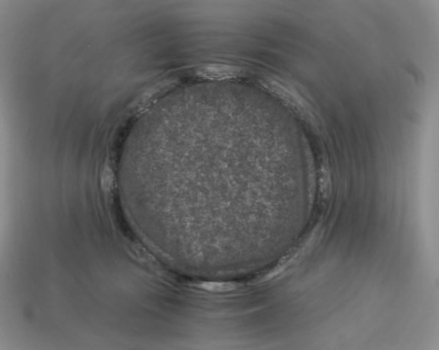 X0000112900371200910021439