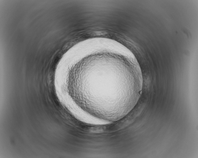 X0000112900373200910021439