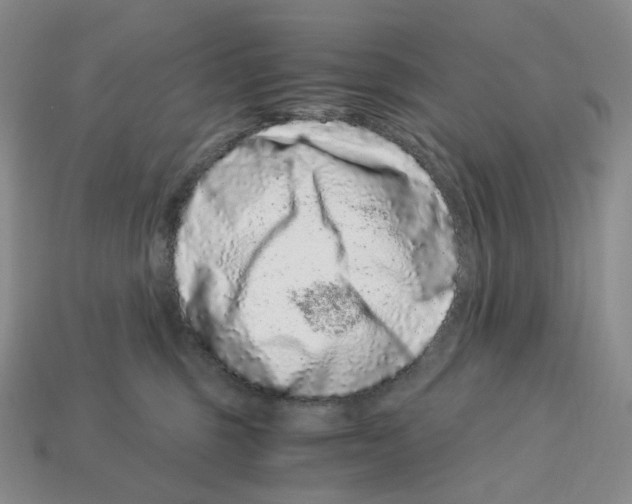 X0000112900375200910021439