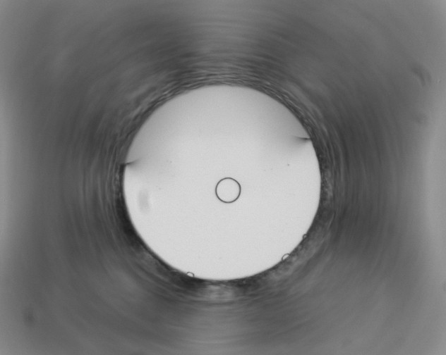 X0000112900376200910021439