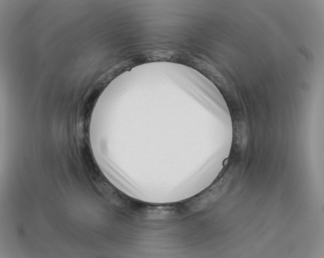 X0000112900378200910021439