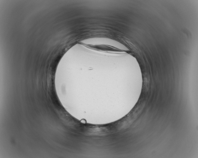 X0000112900379200910021439
