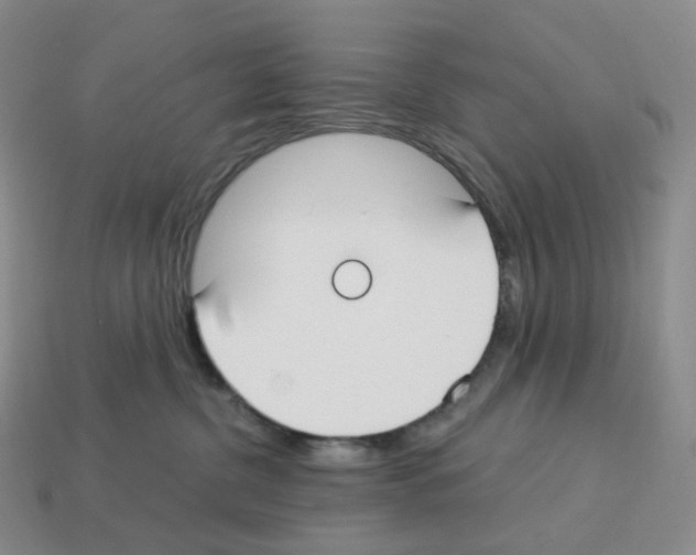 X0000112900380200910021439