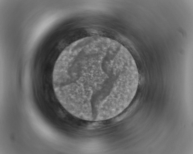 X0000112900382200910021439