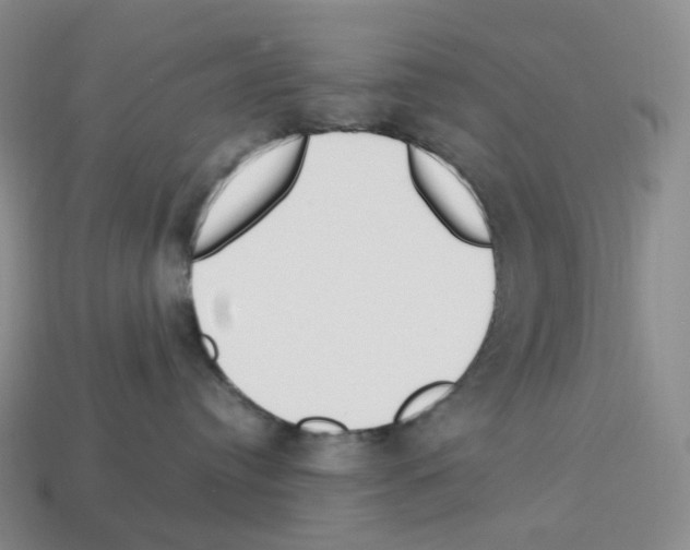 X0000112900384200910021439